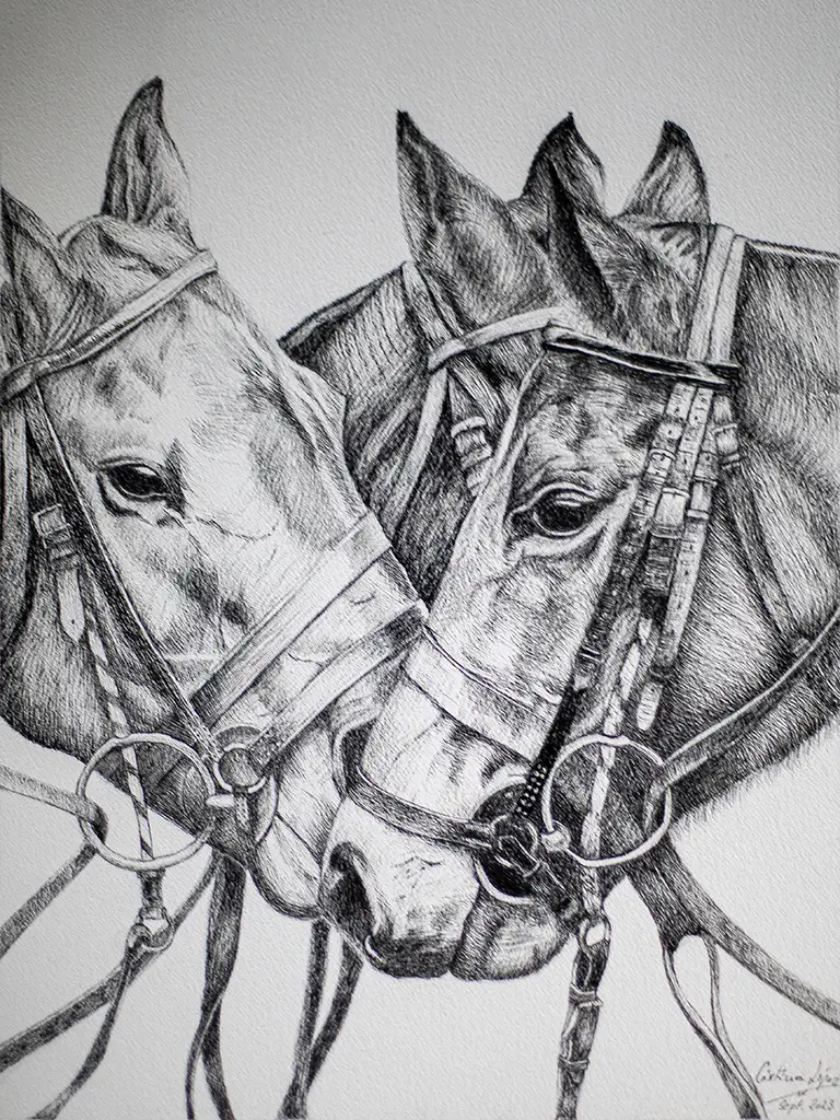 Dibujo de tres caballos en blanco y negro a bolígrafo.